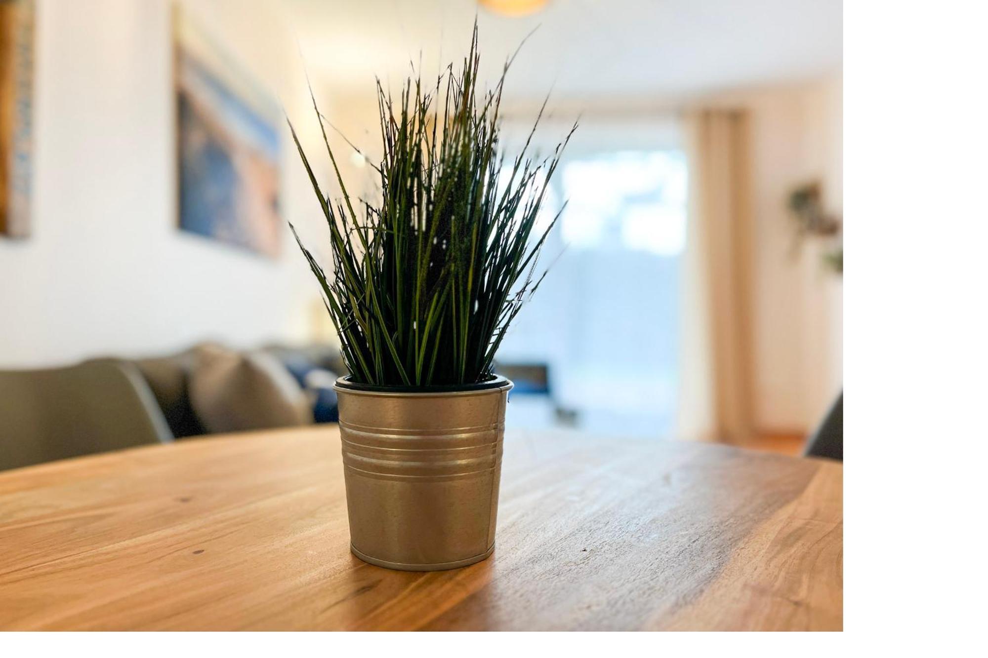 Hanse-Hof Wohnung 05 ボルテンハーゲン エクステリア 写真